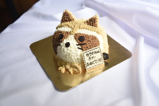 Raccoon cake (custom order cake)