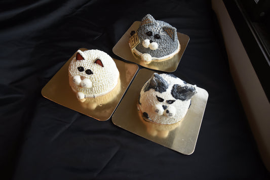 Cat Shortcake