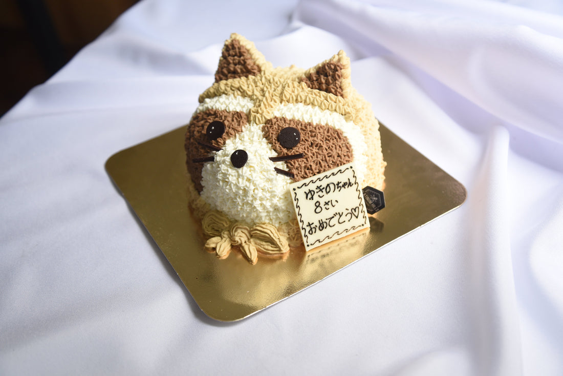 Raccoon cake (custom order cake)