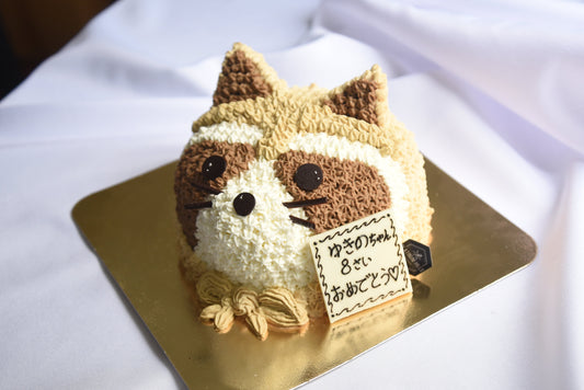Raccoon